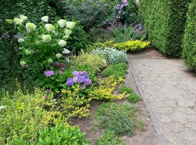 Villa Mariposa Otterlo